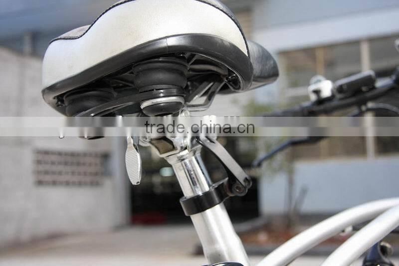 250W 36V 26" electric bike with CE ( PN-EB001 )