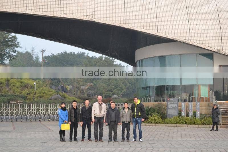 VGD-706 Simulation Animal duck for Museum,theme park, amusement park,mall,activities,events