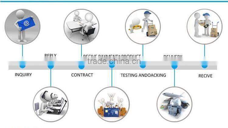 Europe and Bohemia 2016 large size women dress silk print dress skirt beach holiday