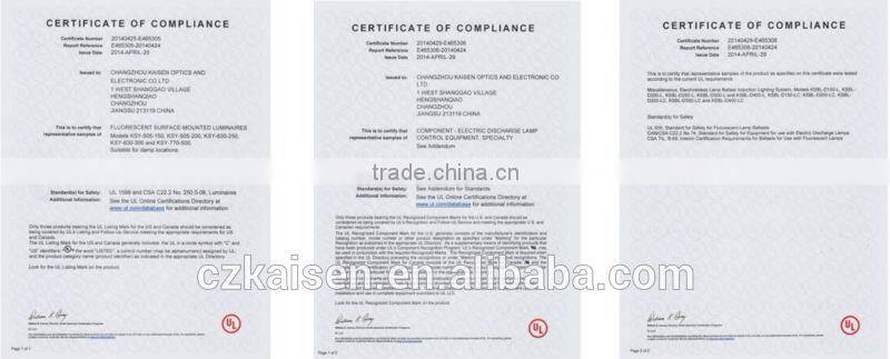 competitive price waterproof stainless steel CE ROHS IP65 LED garden light induction lamp