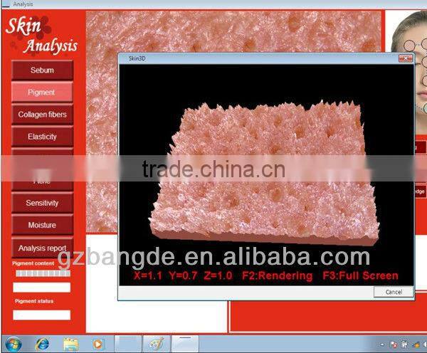 High Resolution Analysis Beauty Equipment for Skin and Hair beauty machine BD-P019