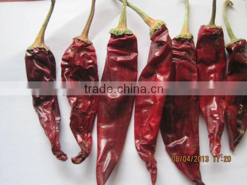 AMERICAN RED CHILI with stem