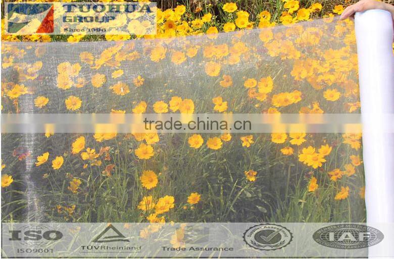 Plastic insect protection window screen prevent insect from bugging you