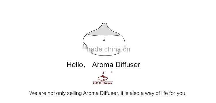 GX Diffuser Fashionable diffuser aroma/car aroma diffuser/USB perfume aroma diffuser