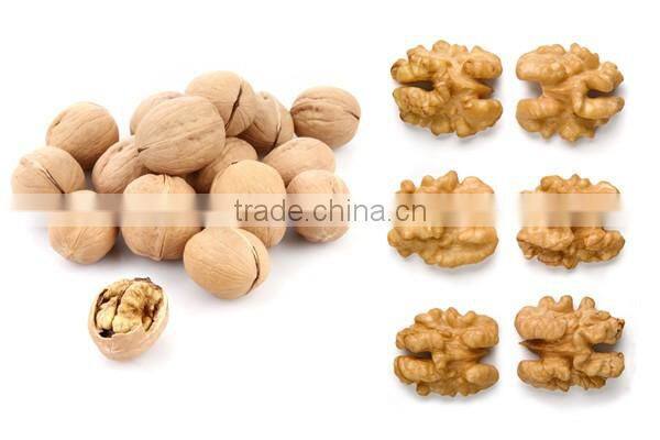 Wholesale Chinese Walnut kernel with marketing price for eating