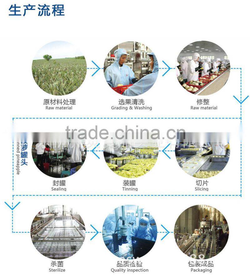 Tropical fruit cocktail in syrup from China 2015