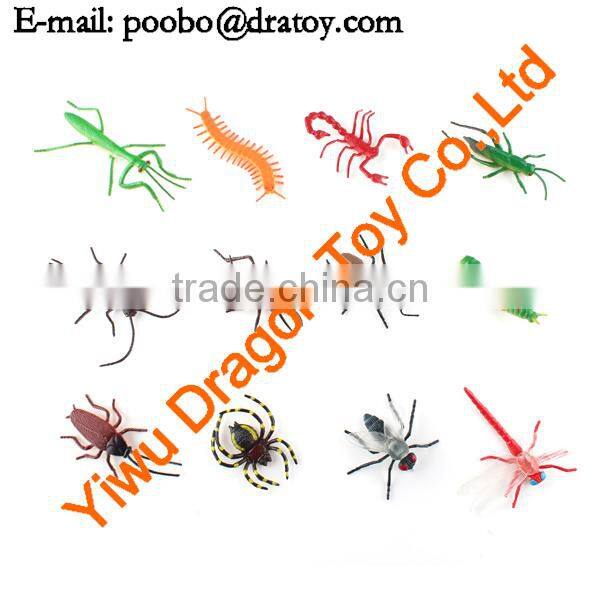 Teenagers insect education toy