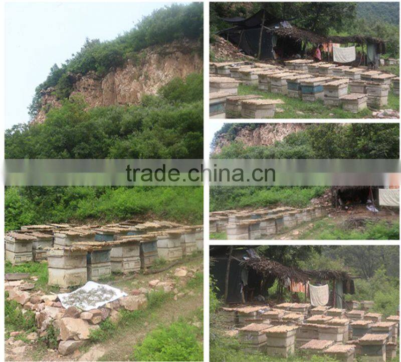 Special formula good beeswax foundation sheet for bee