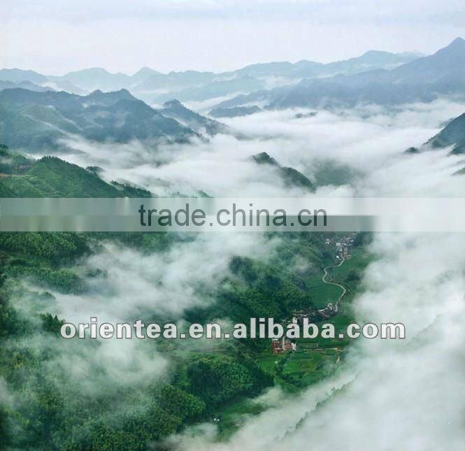 Organic High Mountain Green Tea Organic Yun Wu Green Tea