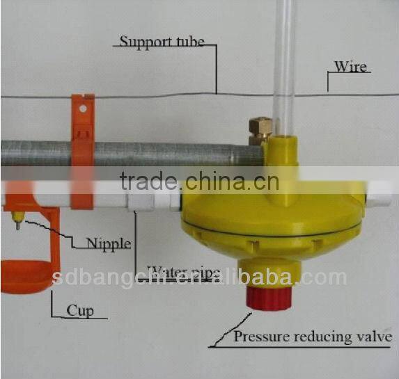 Nipple drinking system for poultry