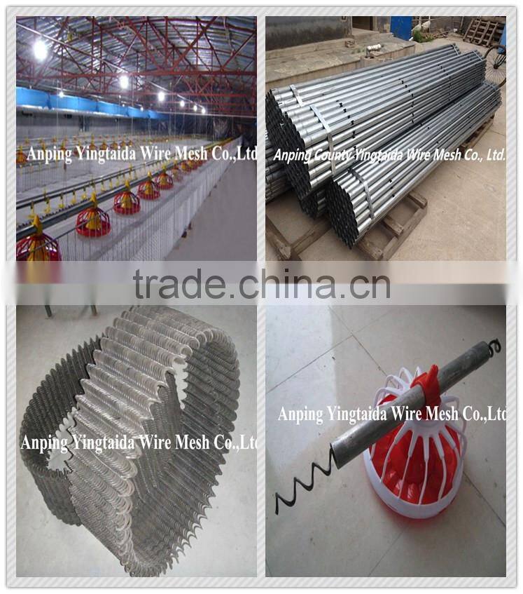 standardized chicken/broiler shed equipment producers