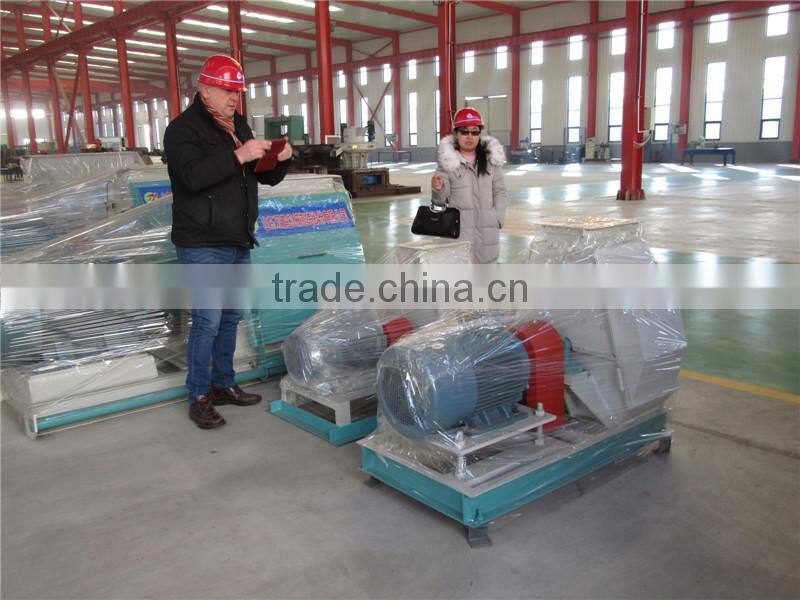 High Effective Feed Single Shaft Double Screw Mixer