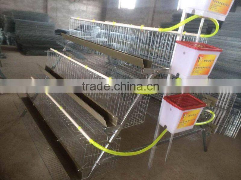 best selling 120 chickens cage for laying hens