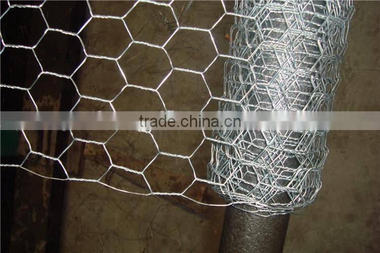 (30 years factory)Hexagonal chicken wire mesh