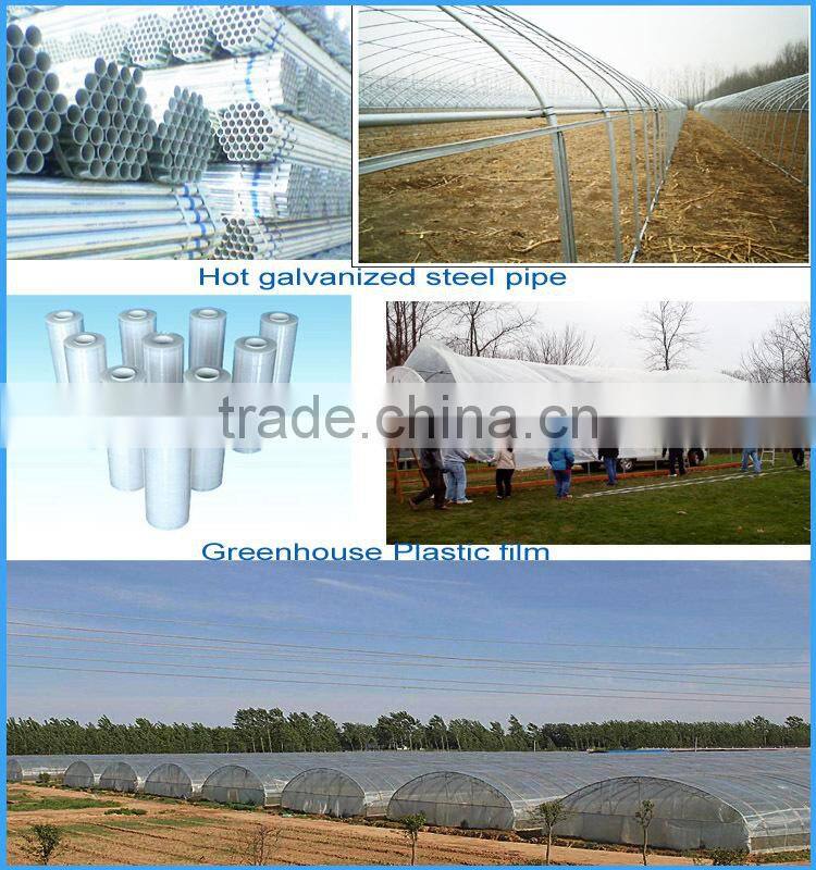 Best price complete greenhouse accessory