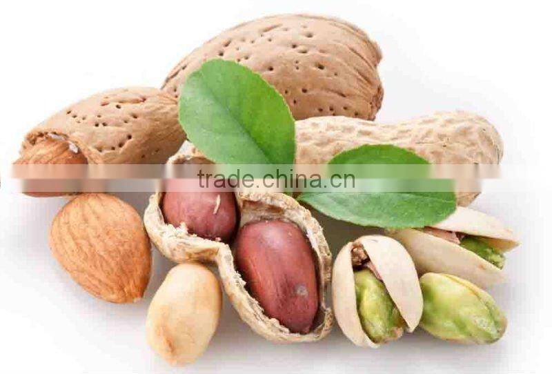 the most energy saving cashew nut machine