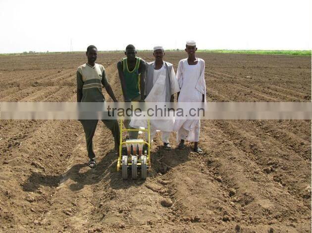 Wholesale agricultural seeder onion