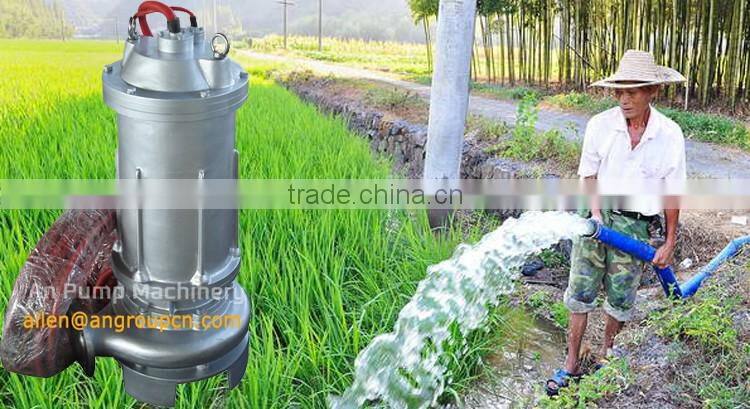 Canal and River Irrigation Submersible Slurry Sewage Water pump
