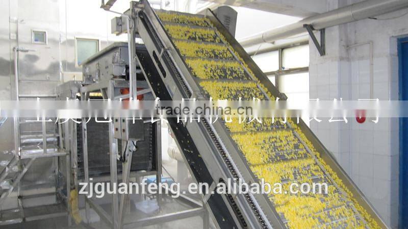 fruits and vegetables quick freezing production processing line