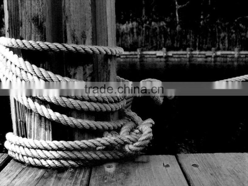 China mainland new technology climbing coir jute sisal plastic dual rope stranding making machinery for mooring braided rope