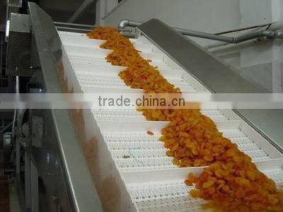 Modular Chain Intergrade Conveyor for bread /food /biscuit