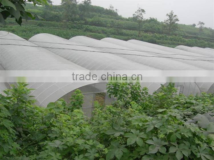 Cheap Professional Greenhouse Used For Vegetables