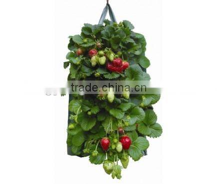 2 x Hanging Strawberry Planters,PE Strawberry Planter