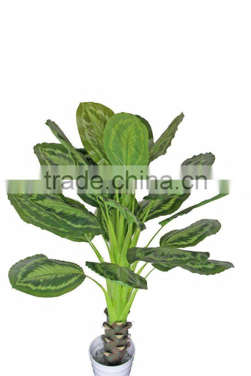 HX010471 fake bottle plant