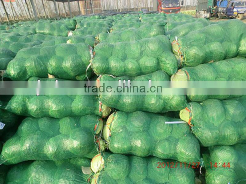 Hebei recycled plastic net bag for sale in low price
