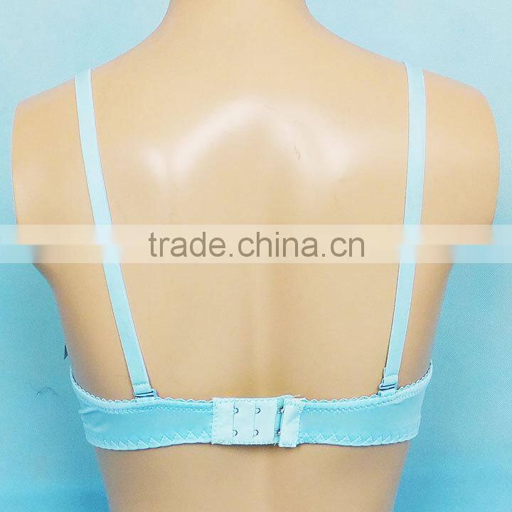 2014 Ladies Fashion Lace Bra Stock, Ref.140406