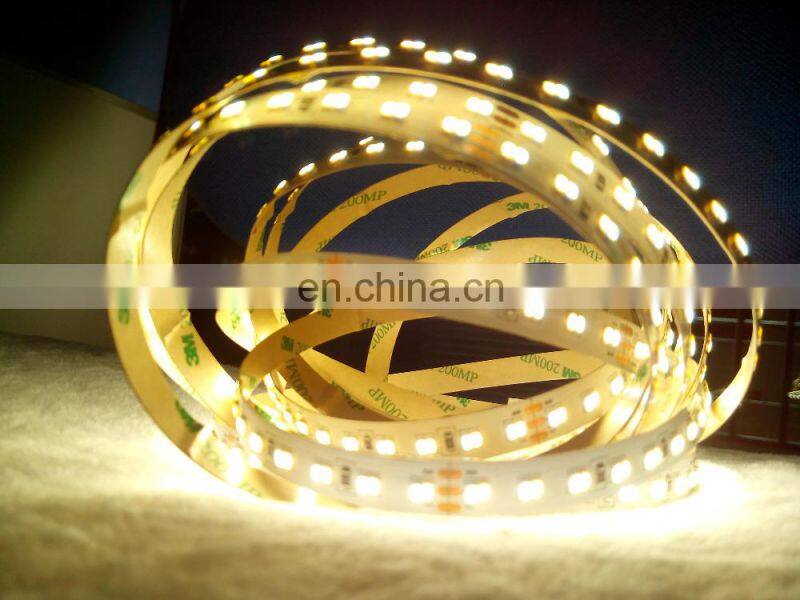 Underwater led strip light ip68 tow color led 3014 224leds CCT temperature color change tape