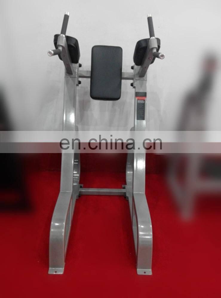 Professional Precor Fitness Exercise Machine Vertical Knees UP/DiP In Gym SP34