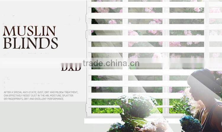 Pure color Office curtain/Zebra Office sheer curtain/ Office Vertical Blind