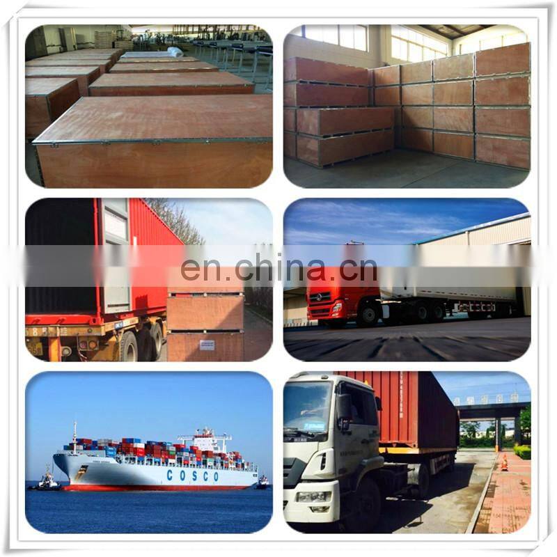 Commercial gym fitness equipment ASJ-ZM004 Prone Leg Curl machine