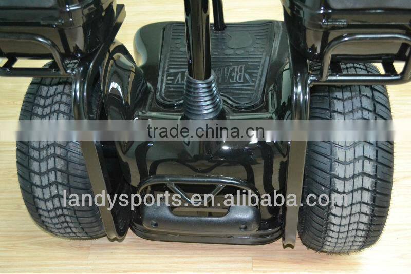 2013 NEW DESIGN ELECTRIC CHARIOT / GOLF CART (LD-FW020)