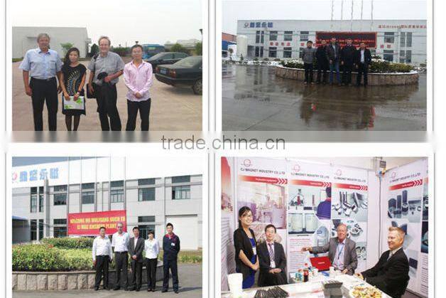 customized sintered U-shaped Alnico magnet moto