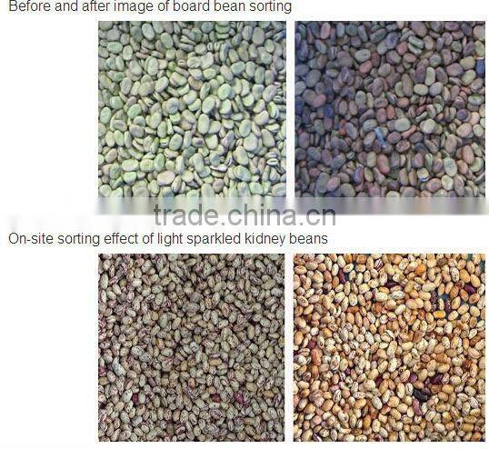 Pine Nuts Color Sorting