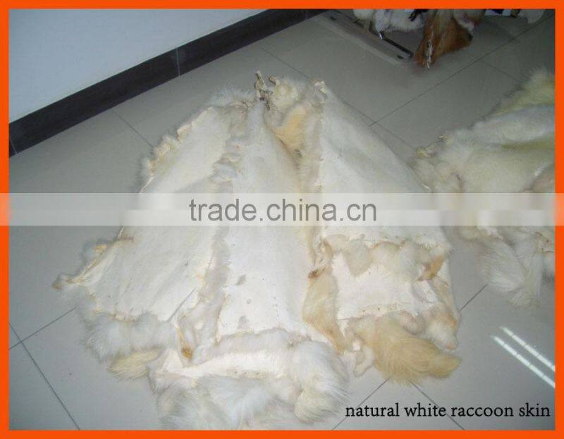 Factory prices white raccoon fur trim for hood