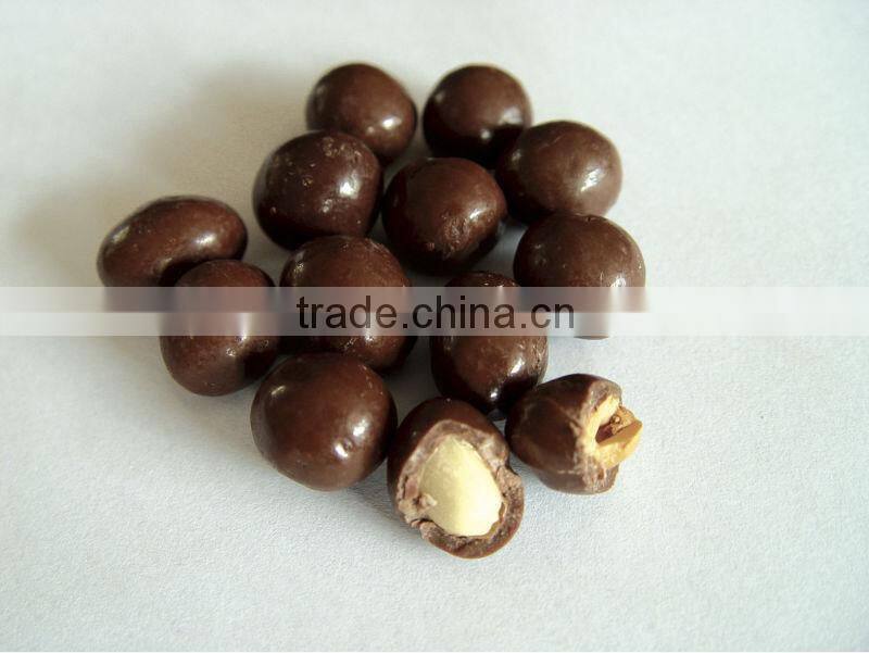 Chocolate coating machine