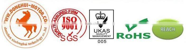 Low Cost 6V/12V DC Electric Motor for Massager and Toys