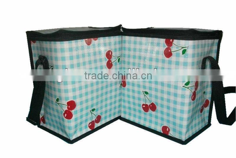 EPE laminated foan cooler bags