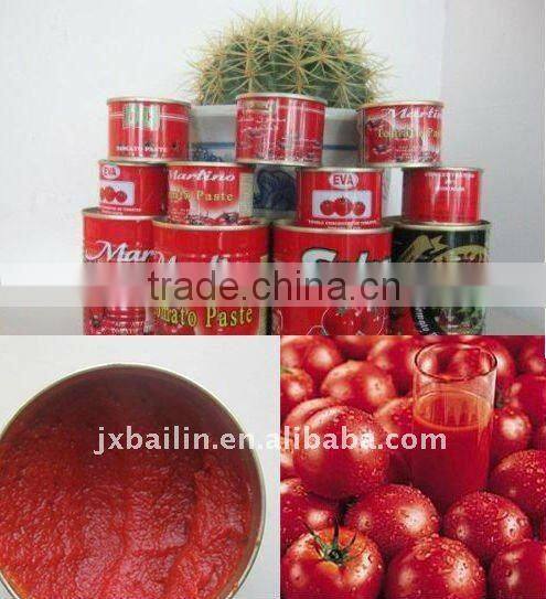 fresh tomato ketchup