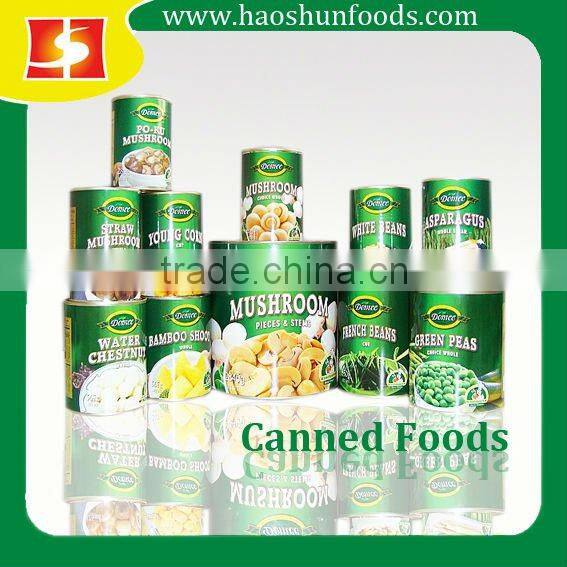 Canned Bake Beans in Tomato Sauce