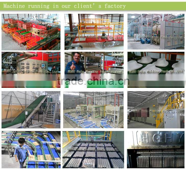 industrial packing pulp molding machine