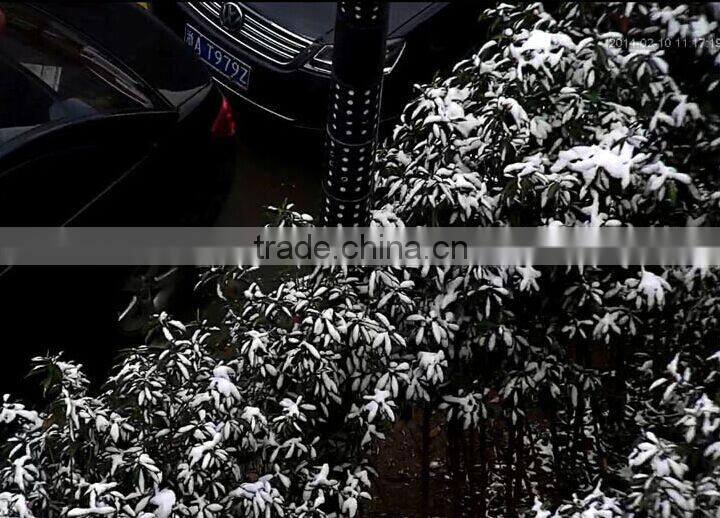 Sony Color CCD 700TVL 30X Optical Zoom Box Camera