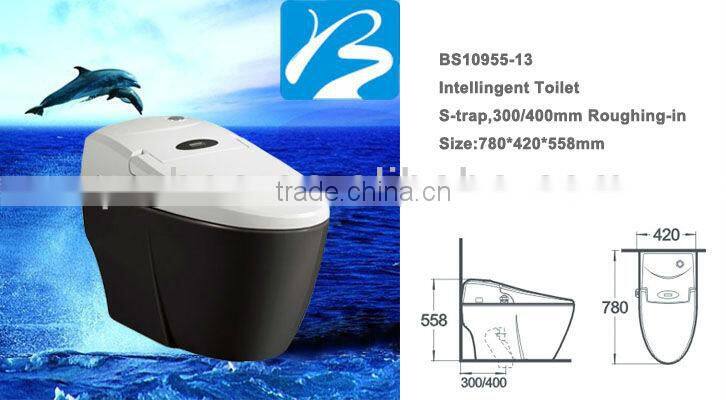 1 Piece Intelligent House Designs Sanitary