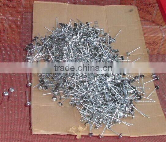 BWG9*2.5'' galvanized umbrella head twisted shank roofing nails