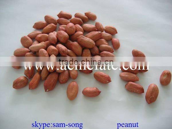 Groundnut Peanut Kernels