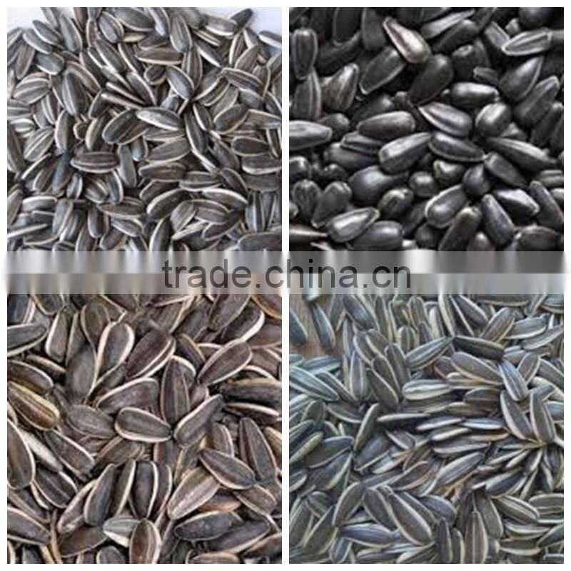 Organic sunflower seeds 5009 sunflower seeds white sunflower seeds