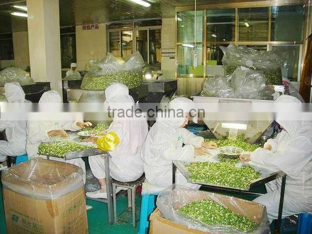 pure dehydrated Onion AD dried Yellow Onion Powder